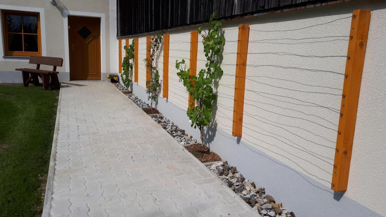 Ferienhaus Buxbaum Arbesbach 外观 照片